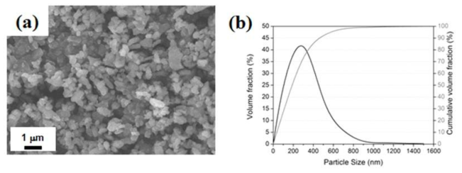 (a) FE-SEM micrograph of the powder morphology and (b) particle size distribution of 300 nm Al2O3