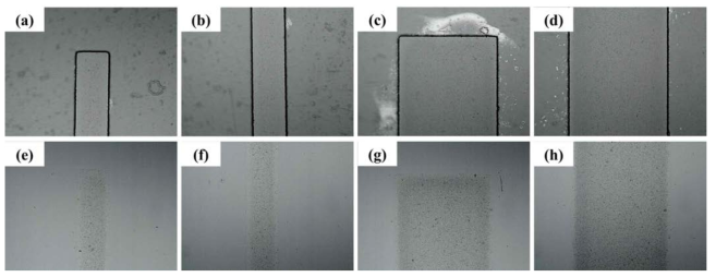 Optical microscopy images of as-coated fine pattern using photolithography mask with pattern width of (a, b) 100 mm and (c, d) 300 mm and as-removed fine pattern with pattern width of (e, f) 100 mm and (g, h) 300 mm