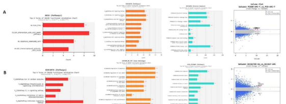 모세포주 (PC9, HCC827)와 제프티닙 내성 세포 (PC9GR, HCC827GRKU)의 transcriptome 분석을 이용한 내성 표지유전자 선별. A. PC9GR vs. PC9. B. HCC827GRKU vs. HCC827.