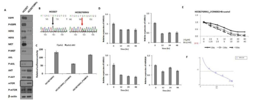 A. HCC827GRKU 세포주에서 모세포 보다 AKT/pAKT 의 발현 증가를 웨스턴 블럿으로 확인함.B. AKT의 activation 증가는 PIK3CA의 돌연변이 때문임을 시컨싱으로 확인함. C. AKT 저해제는 ARE의 활성을 저해하였으나, MEK 저해제는 영향을 미치지 못함을 Luc assay로 확인함. D. AKT 저해제는 ARE를 포함하는 Nrf2 표적인자들의 발현 역시 저해함을 qRT-PCR로 확인함. E-F. AKT와 Nrf2 저해를 동시에 처리하였을 경우 시너지 효과가 있음을 확인함.