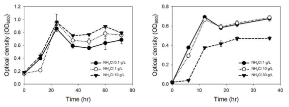 Clostridium autoethanogenum-NH4Cl 농도별 성장곡선