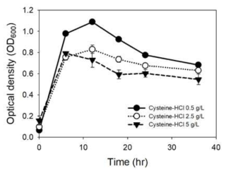 Clostridium autoethanogenum Cysteine-HCl 농도별 성장곡선