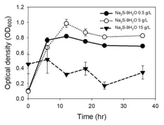 Clostridium autoethanogenum-Na2S 농도별 성장 곡선
