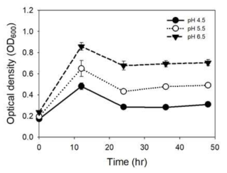 Clostridium autoethanogenum – 초기 pH별 성장 곡선