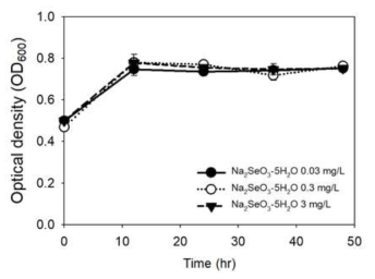 .Clostridium autoethanogenum – Na2SeO4∙5H2O 농도별 성장 곡선
