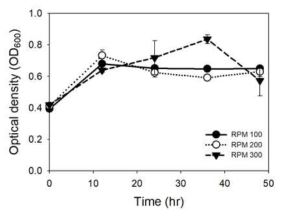 Clostridium autoethanogenum -교반속도(RPM)에 따른 성장곡선