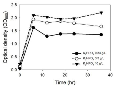 Clostridium autoethanogenum, Yeast extract 5g/L - KH2PO4 농도별 성장 곡선