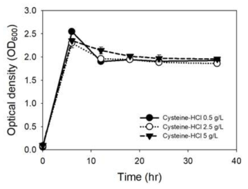 Clostridium autoethanogenum, Yeast extract 5g/L - Cysteine-HCl 농도별 성장 곡선