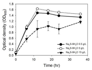 Clostridium autoethanogenum, Yeast extract 5g/L - Na2S 농도별 성장 곡선