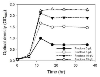 Clostridium autoethanogenum, Yeast extract 5g/L - Fructose 농도별 성장 곡선