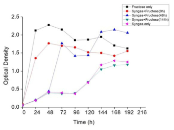 Clostridium autoethanogenum – 탄소원 주입 시기별 성장 곡선>