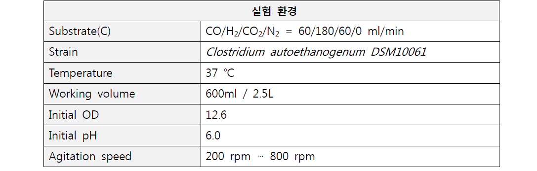 반응기 운전 환경