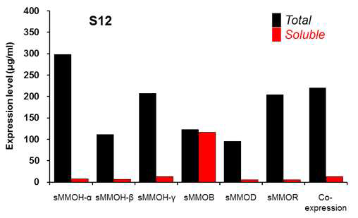 합성된 sMMO 유전자의 무세포 단백질 합성 시스템을 이용한 발현 확인