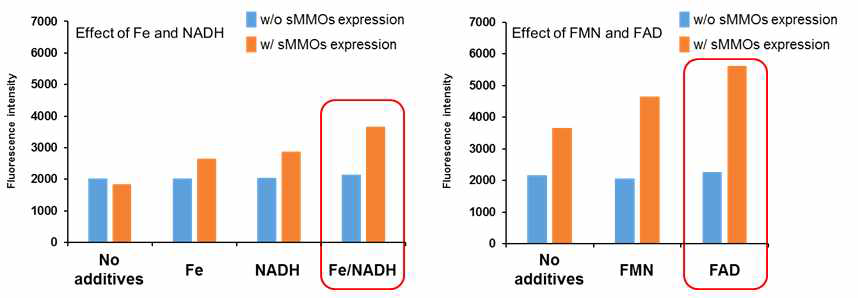 sMMO의 coumarin hydroxylation을 통한 co-factor Fe/NADH/FAD/FMN에 대한 농도 최적화.