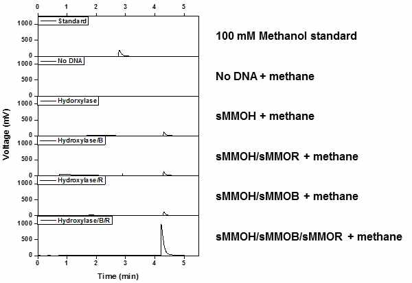 Gas chromatograph 분석을 통한 sMMOH/B/R의 효소 반응 결과 확인.