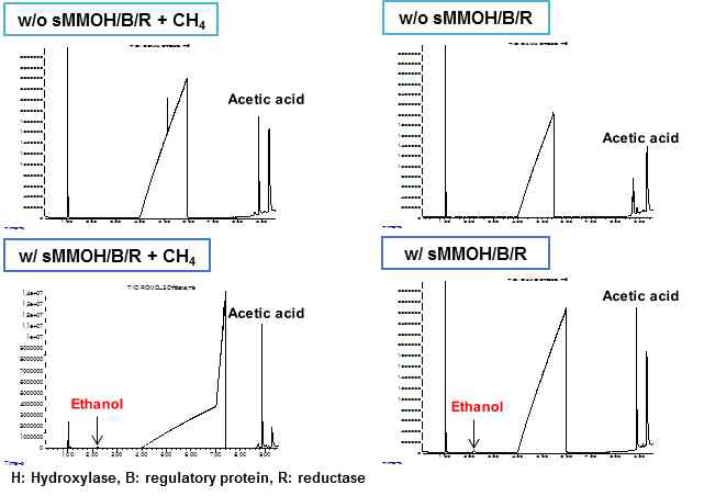 GC/MS 분석을 통한 부반응 산물 확인.