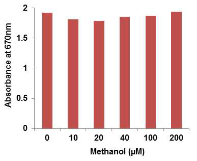 단백질 발현 후 메탄올 농도 변화에 따른 MBTH assay 결과.