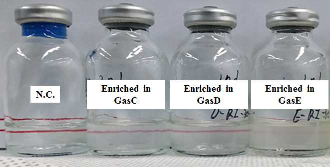 Turbidity of samples after 1st and 2nd enrichments