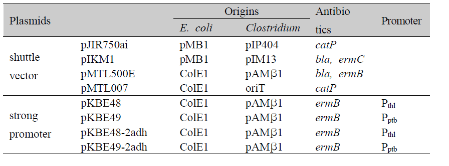 Shuttle vectors and strong promoters