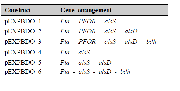 과발현 재조합 플라스미드 및 관련 유전자들의 배열