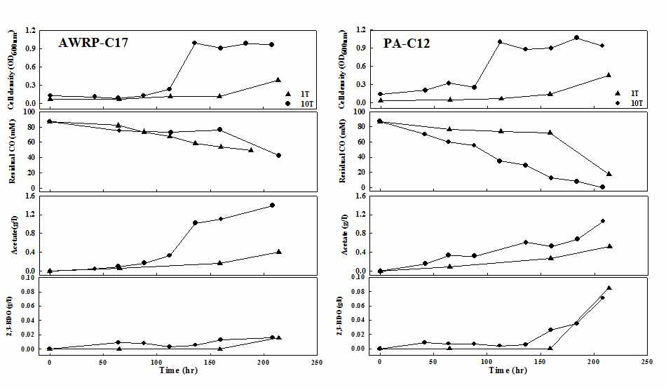 Growth and metabolite profiles of adaptive strains.