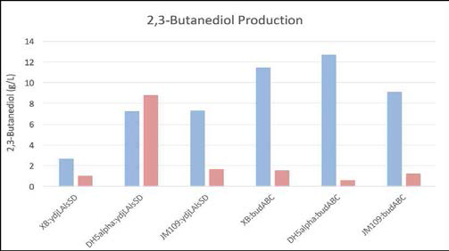 Production of 2,3-BDO in varipus E.coli strains expressing BudABC and YdjLAlsSD (Blue: meso-2,3-BDO, Red: mixture of (R,R) & (S,S)-2,3-BDO)