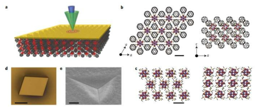금나노 입자가 코팅된 슈퍼 원자 결정(Superatomic crystals; SACs)구조를 이용한 열전달 측정 연구의 모식도