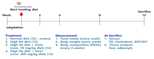 Experimental design for animal feeding trial.