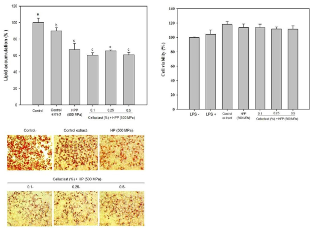 The effect of rice hull extracts prepared by different extraction methods on lipid accumulation (A) and cell viability (B) in 3T3-L1 adipocytes.