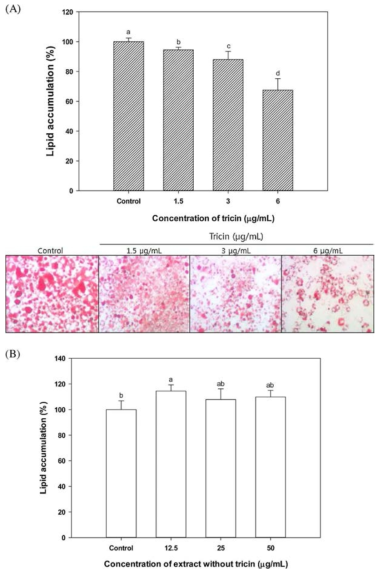 Effect of tricin (A) and oat hull extract without tricin (B) on intracellular lipid accumulation in 3T3-L1 cells.