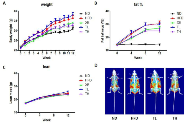 Effect of tricin on body weight (A), fat in tissue (B), lean mass (C), and representative DEXA image (D) in C57BL/6 mice.