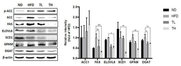 Effect of tricin supplementation on de novo lipogenesis mechanism genes in liver.