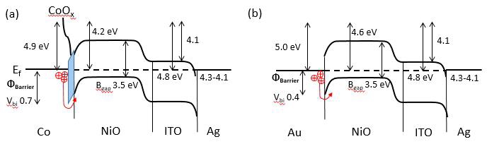 Co, Au tip/NiO/ITO 구조에서의 음전압인가시 에너지 밴드 모식도