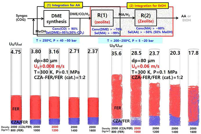 유동층 반응기의 two-phase segregation 전산모사 결과 (DME-->MA-->에탄올 합성 반응)