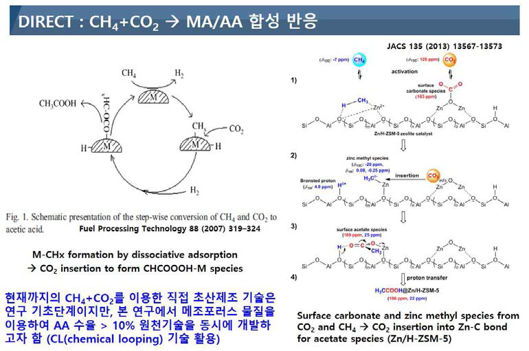 메탄과 이산화탄소로부터 직접 MA 및 AA를 합성하는 반응 활성점