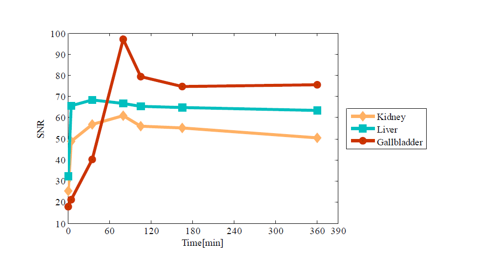 동물 실험 결과에서 조영 증강 정도를 시간에 따른 신호 대 잡음 비로 나타낸 그래프.