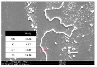 시효열처리 후 시편의 SEM image 및 EDS를 통한 Nb Carbide 조성