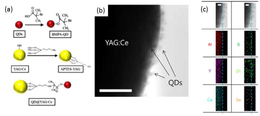 QD@YAG:Ce의 합성 모식도(a)와 고해상도 투과 전자 현미경 이미지(b)(스케일 바 50nm), STEM/EDS 원소 맵핑(c)(스케일 바 5nm).