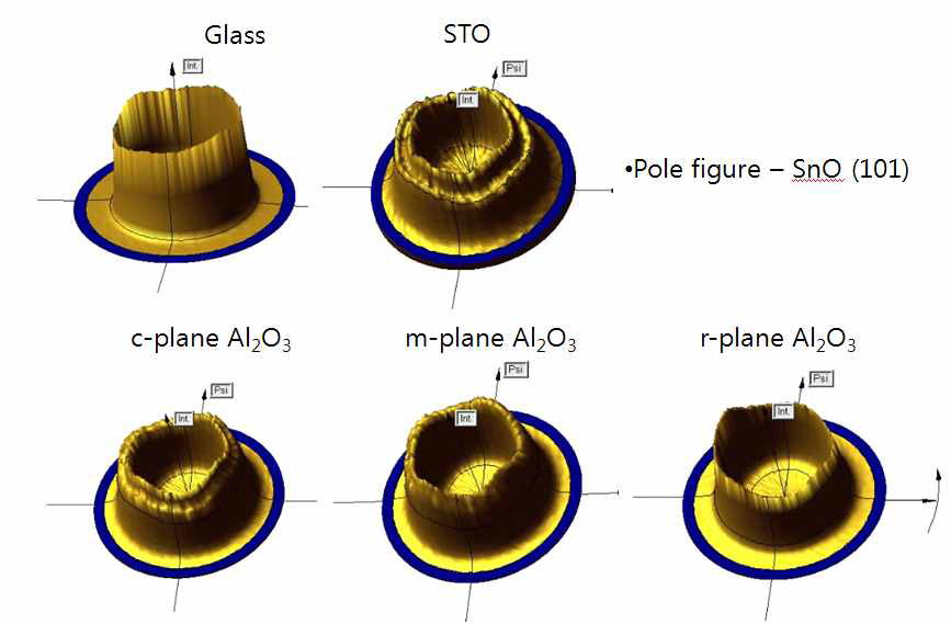 기판별 SnO (002) pole figure 분석결과.