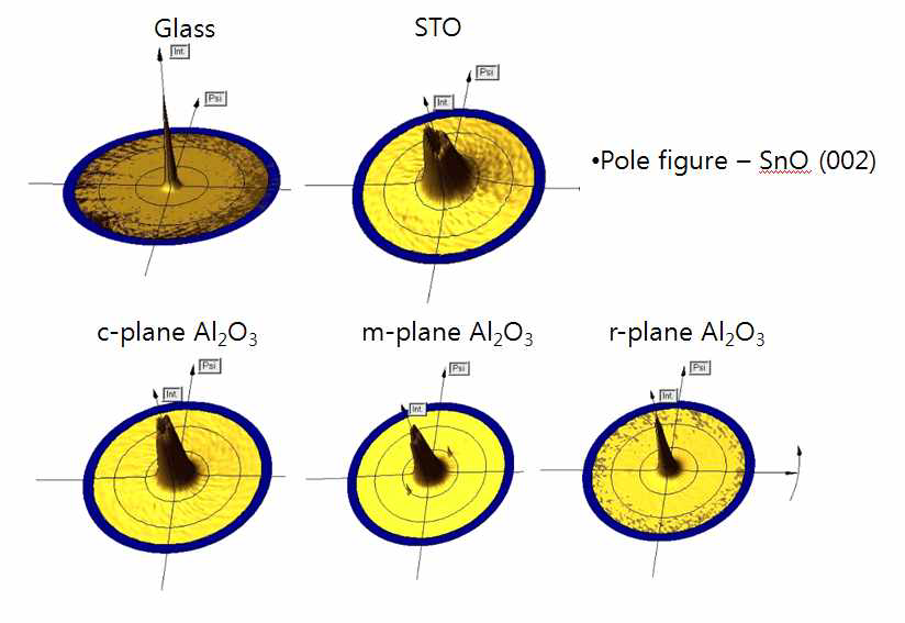 T-S 기판별 SnO (101) pole figure로 분석결과.