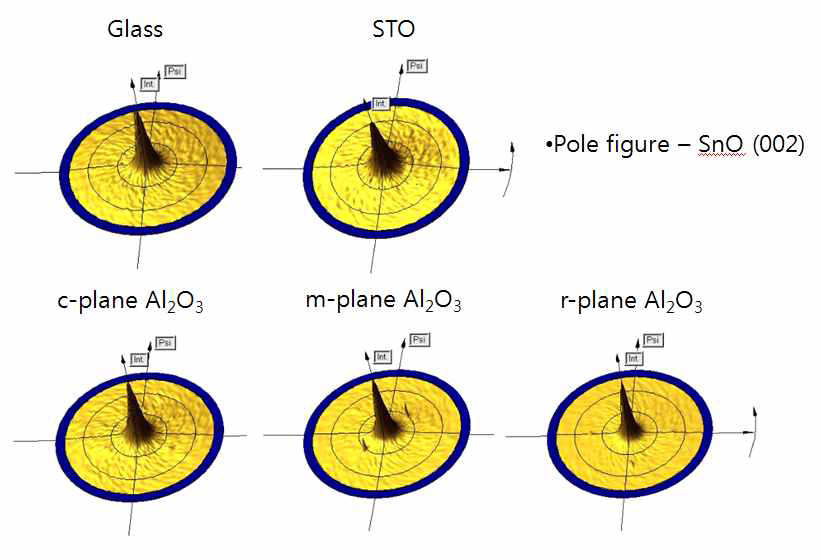 T-S 110mm에서 다양한 기판 위에 증착된 SnO (002)를 pole figure.