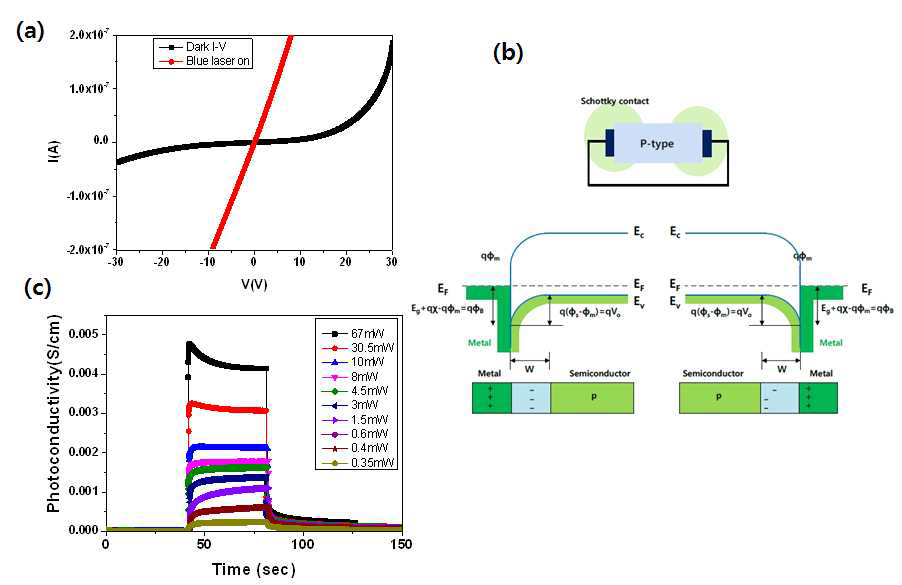 SnO 소자의 광 조사에 따른 전기적 특성 변화 및 schottky contact 모식도.