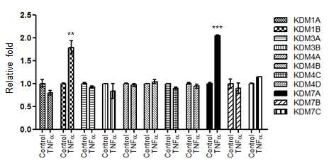 TNFa에 의한 histone demethylases의 mRNA 발현 변화