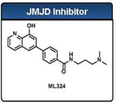 KDM inhibitor (ML324) 구조