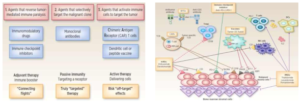 Novel immunotherapeutic approaches in MM, Clin Cancer Res (Neri P et al), 2016