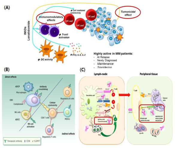 mechanism of action of immunomodulatory drugs mechanism of action of monoclonal antibodies in MM mechanism of action of immune checkpoint blockades