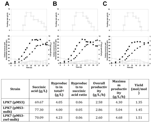 LPK7 (pMS3) 균주, LPK7 (pMS3-zwf-mdh) 균주, LPK7 (pMS3-mdh) 균주의 숙신산 생산능 비교