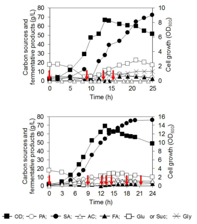 LPK7 (pMS3-fdh2) 균주의 합성배지에서의 연속 발효 결과.