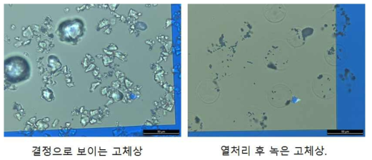 고체상 경화제에 대한 광학이미지.