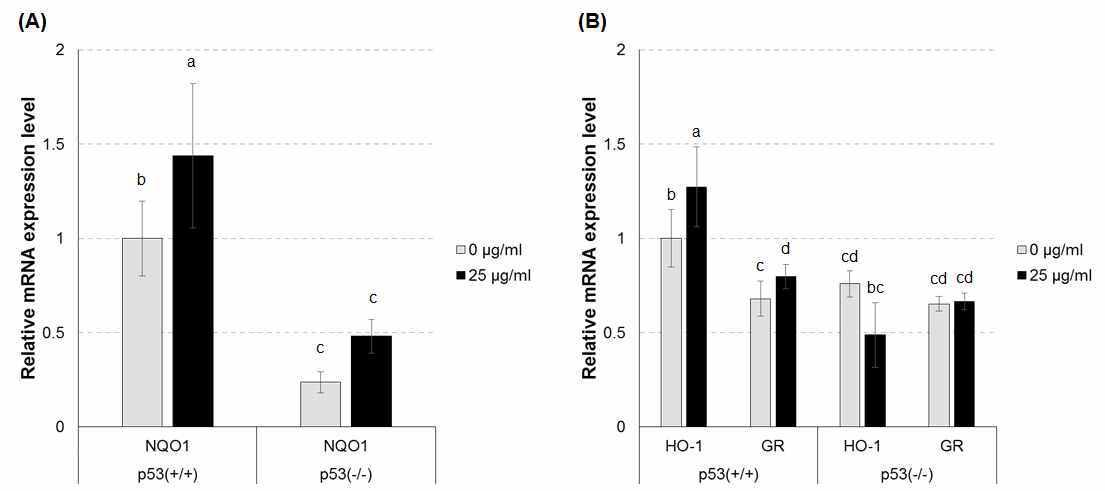 Effect of glyceollins on the mRNA expression of NQO1, HO-1, and GR in p53-wild type and -mutant HCT116 cells.